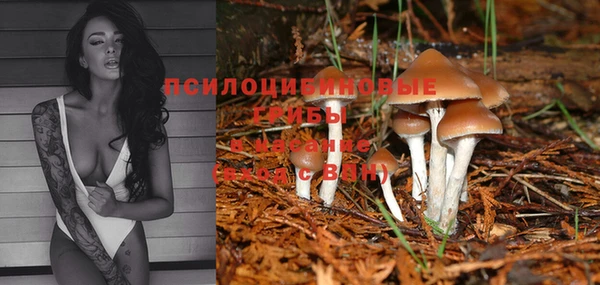 МДПВ Березники